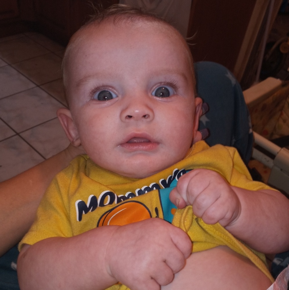 Meet your Posher, Ella